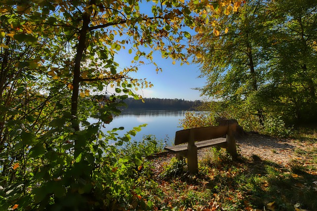 到的是自己 到的是自己