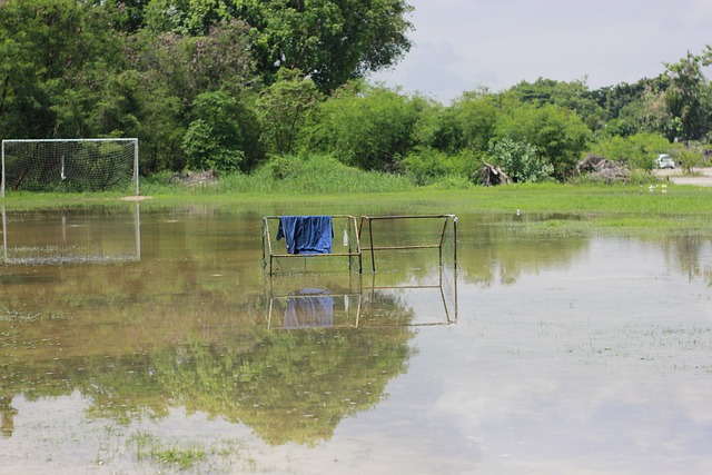 齐亚在升入 齐亚在升入