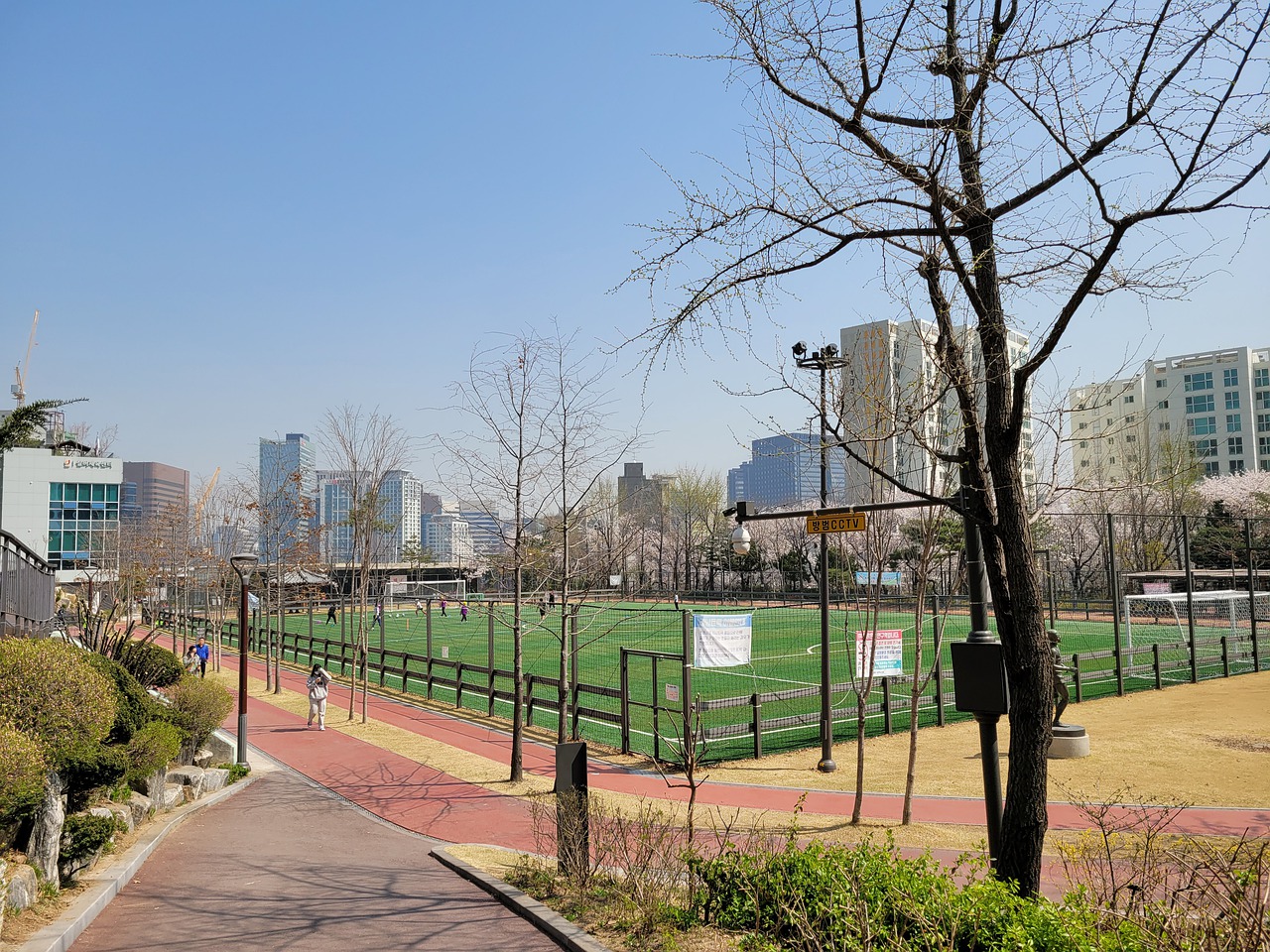 素质与身体 素质与身体