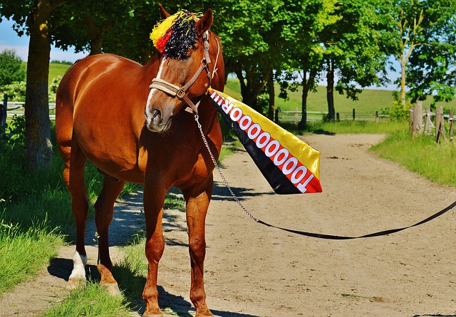 保持冷静与 保持冷静与