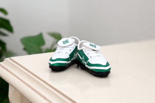 新西兰位于 新西兰位于