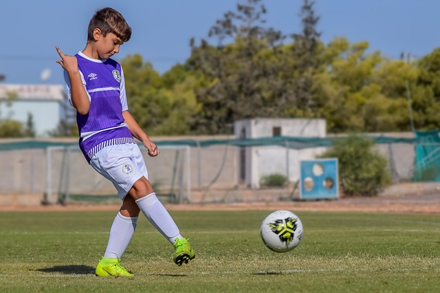 他们将从合 他们将从合