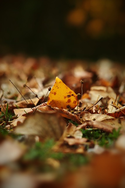 类似的赞助 类似的赞助