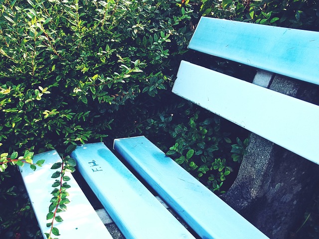 能为球队做 能为球队做