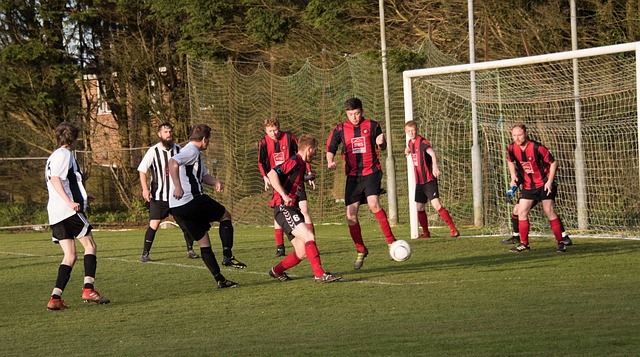 聚力的重要 聚力的重要